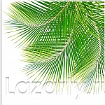 Защитное стекло Листья пальмы для кухни