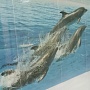 Панель ПВХ Unique Дельфины (фон)