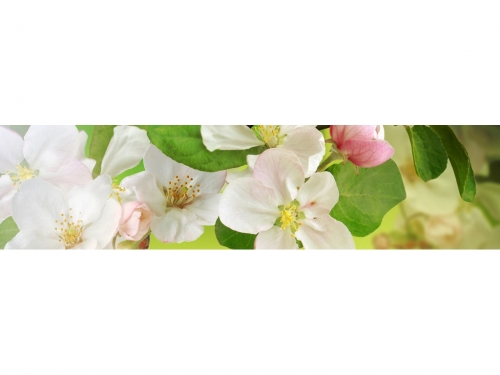 фартук из хдф элит яблоневый цвет 2440x610x3