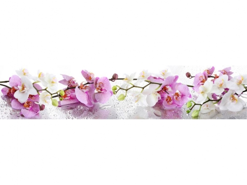 Фартук глянцевый МДФ Цветы 6