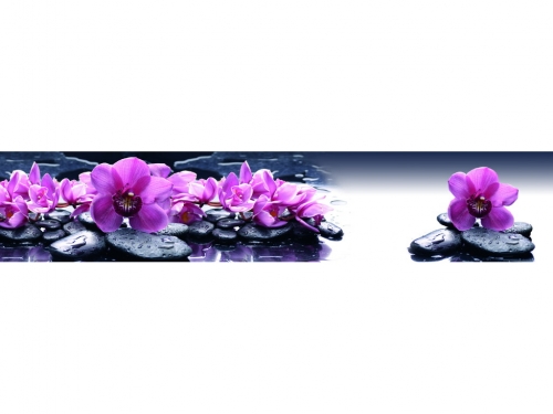 Фартук МДФ Орхидеи на камнях