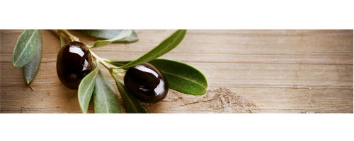 Фартук МДФ Веточка оливы msk