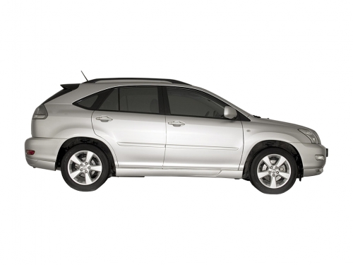 Накладки на пороги RX-350 Пороги