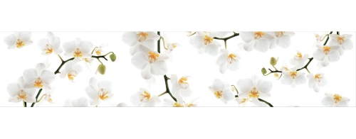 Фартук МДФ SP 182