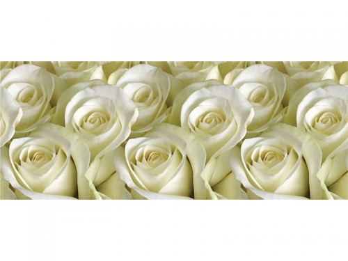 Фартук для кухни Белые розы (фотопечать)