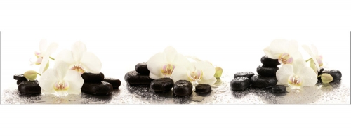 Фартук МДФ Амабилис