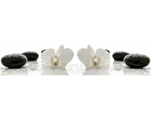 фартук из хдф элит орхидея №1 2440x610x3