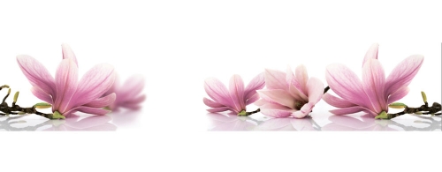 Фартук МДФ Магнолия