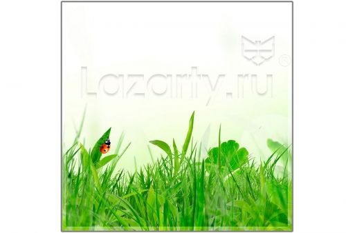 Защитное стекло Свежесть для кухни