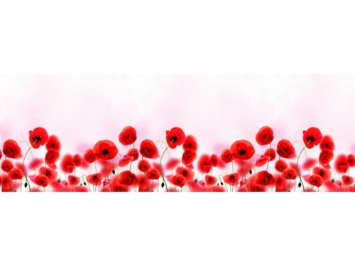 Фартук для кухни Маки