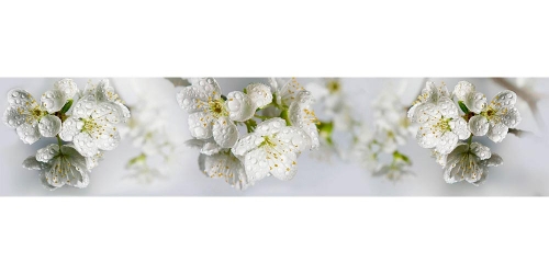 Фартук глянцевый МДФ Яблоневый цвет