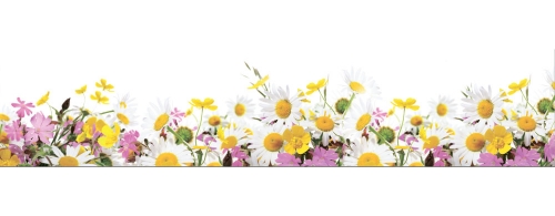 Фартук МДФ Полевые цветы