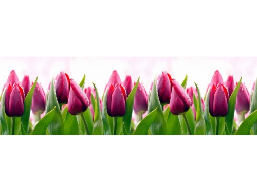 Фартук для кухни Тюльпаны