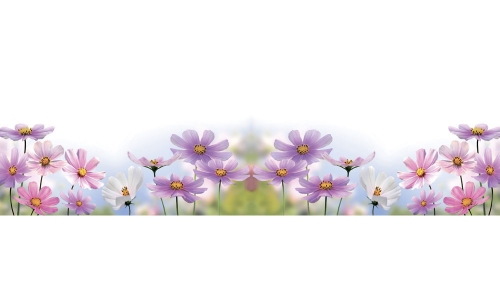 Фартук МДФ Msk Полевые цветы