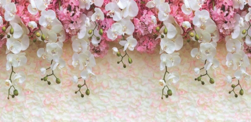 Фартук для кухни Цветущие орхидеи /Нежность 481