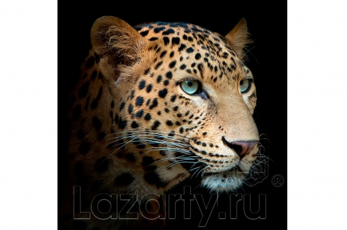 Защитное стекло Леопард для кухни