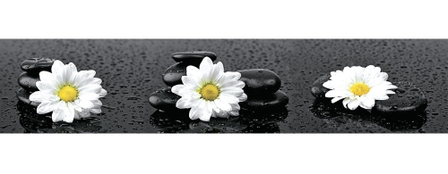 Фартук МДФ SP 185