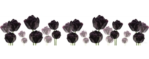 Фартук МДФ Блэк Хиро