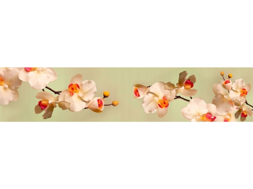 Фартук глянцевый МДФ Цветы 11