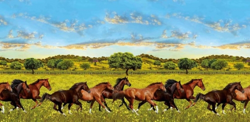 Фартук для кухни Арабские скакуны 472