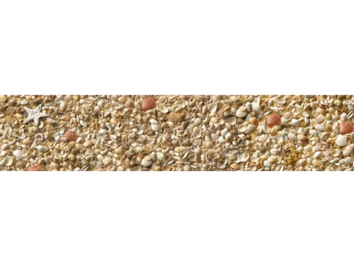 Фартук МДФ Ракушки