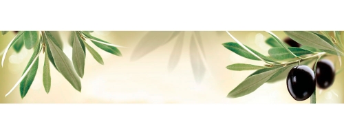 Фартук МДФ Оливки 1