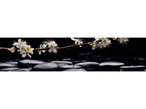 Фартук МДФ СПА 2