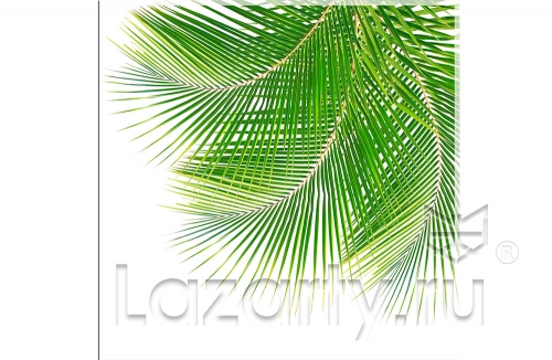 Защитное стекло Листья пальмы для кухни