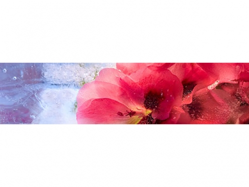 Фартук глянцевый МДФ Цветы 1