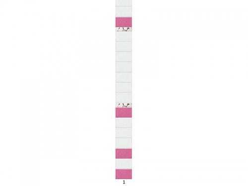 Панель ПВХ Novita light Нежность (добор)