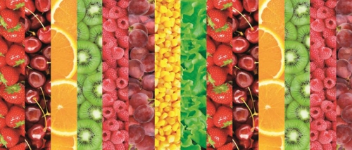 Фартук для кухни  Ассорти /388