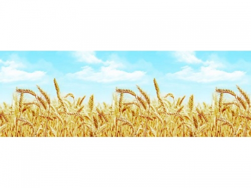 Фартук для кухни Пшеница