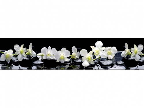 Фартук глянцевый МДФ Цветы на камнях 2