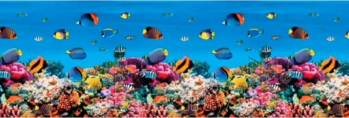 Фартук для кухни Рыбки (термопечать)