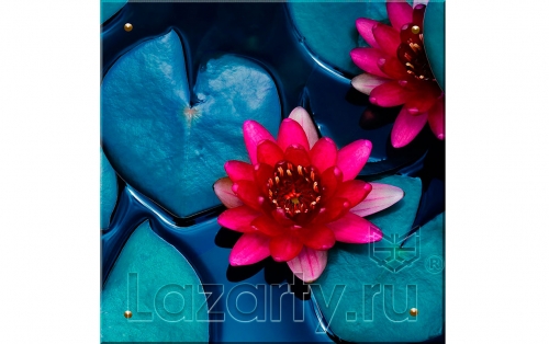 Защитное стекло Кувшинки для кухни