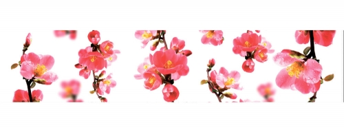 Фартук МДФ Сакура