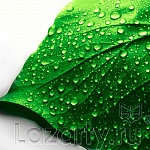 Защитное стекло Лист для кухни