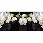 Фартук из МДФ Элит Белая орхидея
