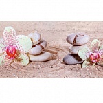 Фартук МДФ Орхидеи на песке