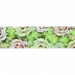 Фартук глянцевый МДФ Розы 1