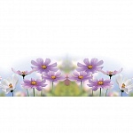 Фартук МДФ Msk Полевые цветы