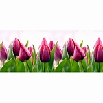 Фартук для кухни Тюльпаны