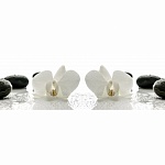 Фартук из ХДФ Элит Орхидея №1