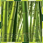 Защитное стекло Бамбук для кухни