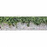 Фартук глянцевый МДФ Старая стена