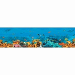 Фартук для кухни Морское дно (фотопечать)
