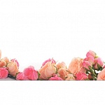 Фартук МДФ Анжелики