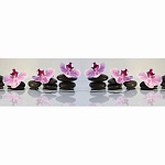 Фартук МДФ Лепестки на камнях