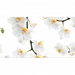 Фартук МДФ SP 182