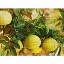 Фартуки МДФ/ ХДФ под кирпич, дерево, плитку